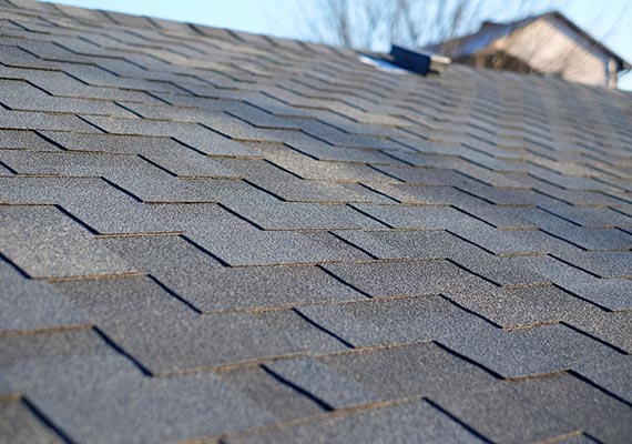 Roof Replacement Services