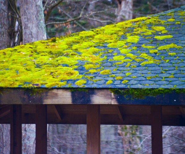 Prevent Moss Growth on a residential roof in Oregon